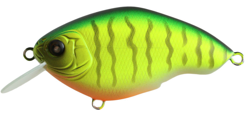 NISHINE - CHIPPAWA ROUND BILL - SLOW FLOAT