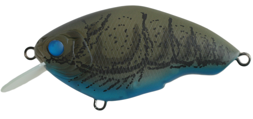 NISHINE - CHIPPAWA ROUND BILL - SLOW FLOAT