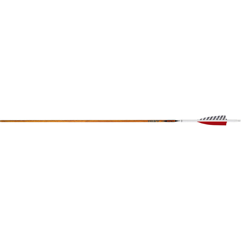 EASTON CARBON LEGACY ARROWS 500 4 IN. FEATHERS 6 PK.