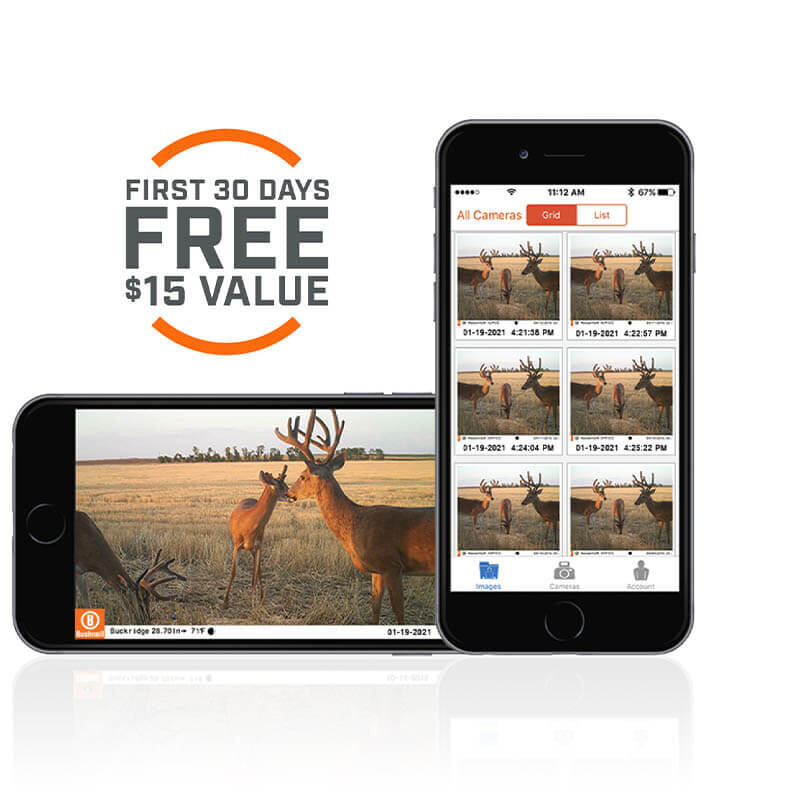 Bushnell Cellucore A20 Trail Camera