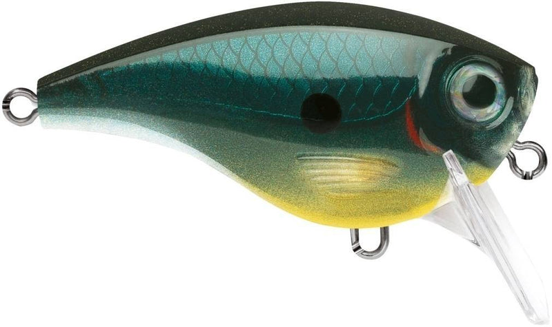 Rapala BX Big Brat 2 3/4 Inch Square Bill Crankbait