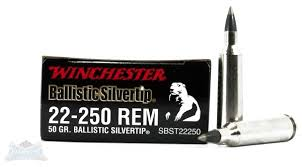 Winchester Ballistic Silver tip-High Falls Outfitters