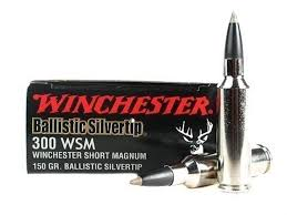 WINCHESTER 300 WSM 180GR-High Falls Outfitters