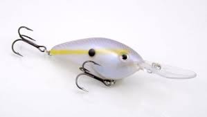 Strike King Pro Model XD Crankbaits