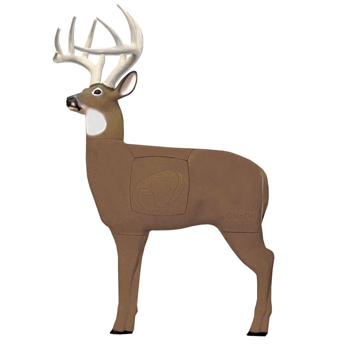 GLENDEL PRE-RUT BUCK 3D PRACTICE TARGET
