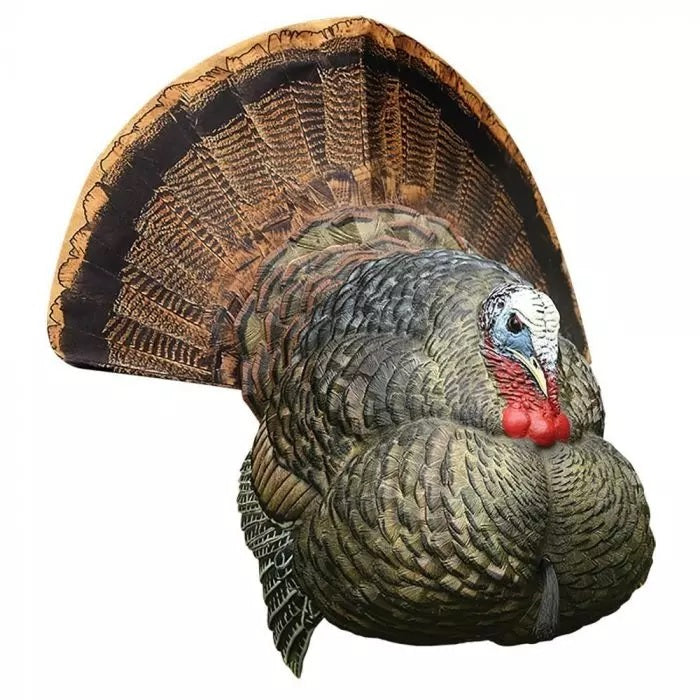 Avian-X LCD Strutter Turkey Decoy