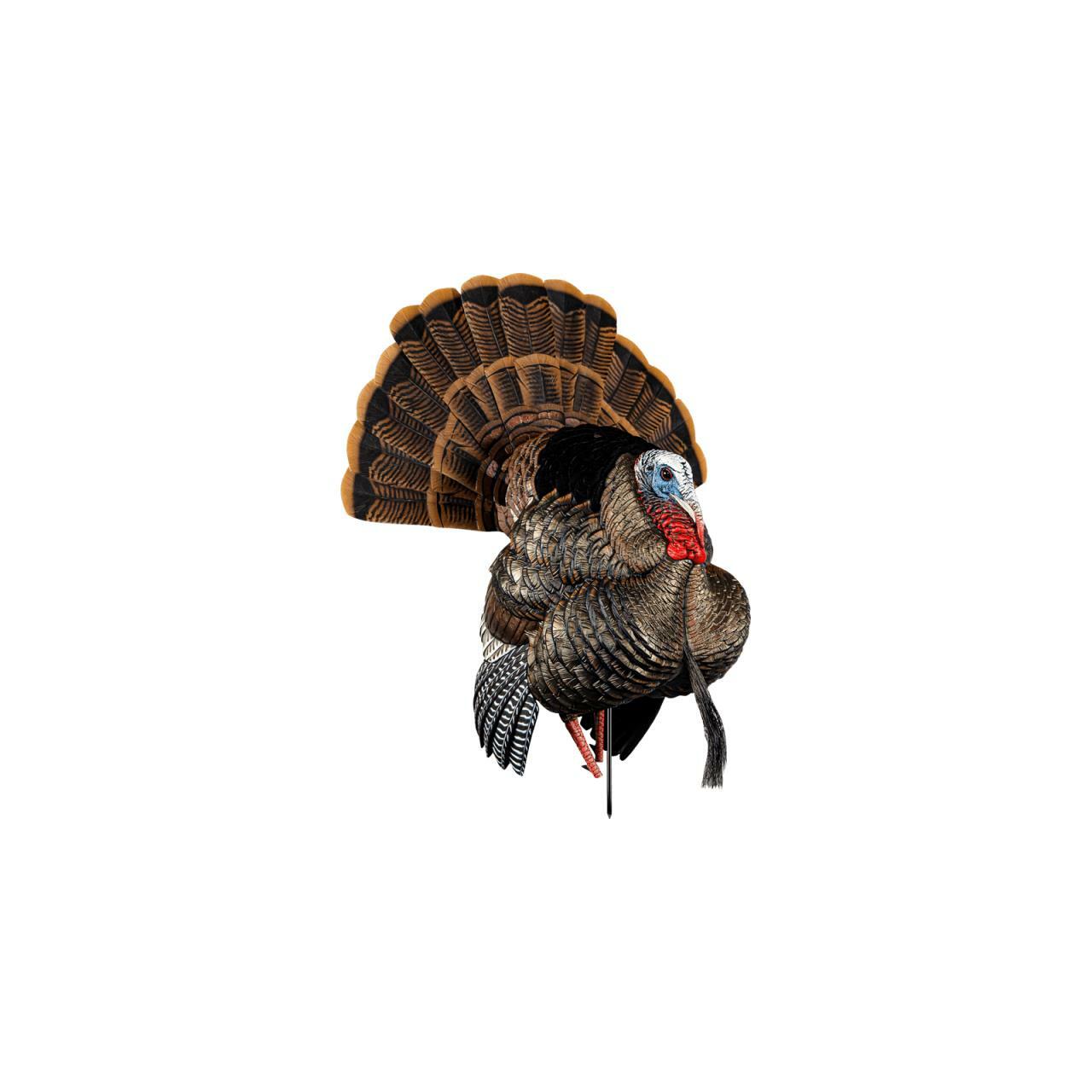 Avian-X HDR Tom Strutter Turkey Decoy