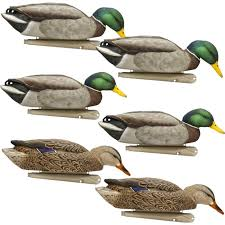 AVIAN X TOP FLIGHT BACK WATER MALLARDS 6 PK-High Falls Outfitters