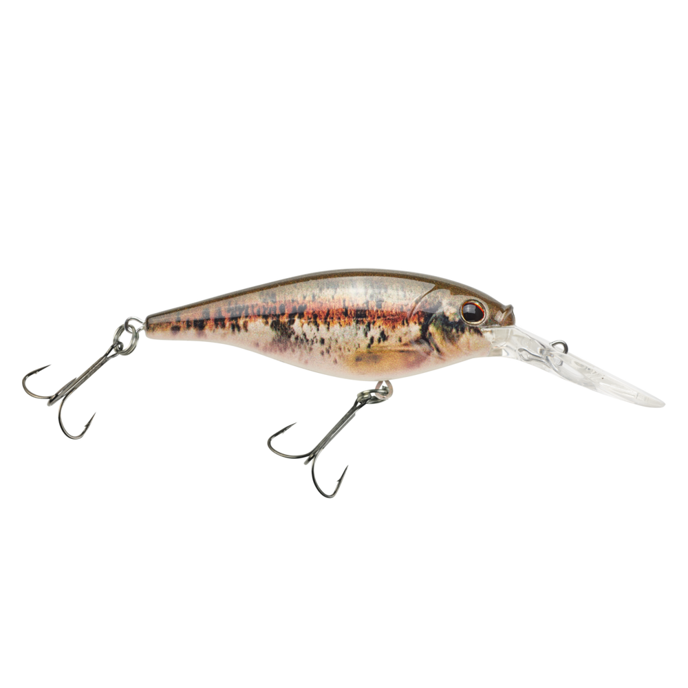 BERKLEY FLICKER SHAD (Part 2)