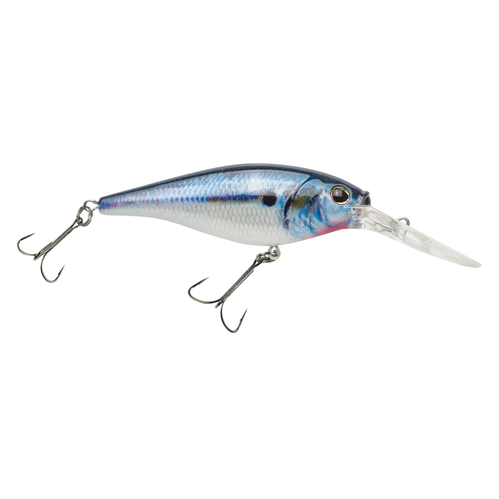 BERKLEY FLICKER SHAD (Part 2)