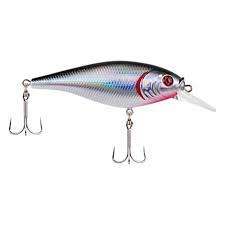 Berkley Flicker Shad Crankbait (Part 1)