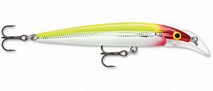 Rapala Scatter Rap Deep Husky Jerk