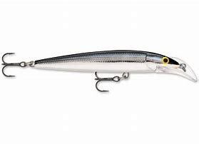 Rapala Scatter Rap Deep Husky Jerk