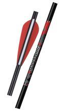 EASTON ARROW BLOODLINE 6MM W/4" VANES