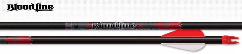 EASTON ARROW BLOODLINE 6MM W/BLAZER VANES