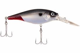 BERKLEY FLICKER SHAD (Part 2)
