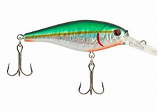 BERKLEY FLICKER SHAD (Part 2)