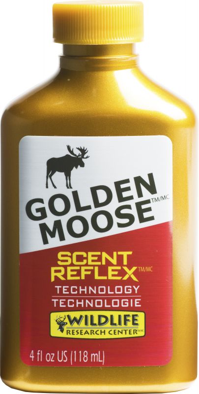 GOLDEN MOOSE SYNTHETIC HUNTING SCENT   4 OZ