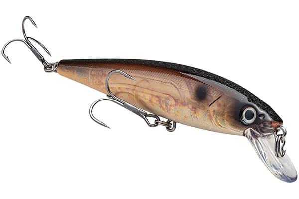 Strike King - KVD Jerkbait