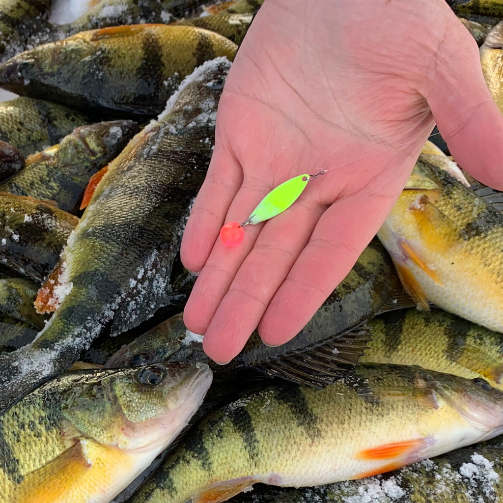 Great Lakes Finesse Taco Ice Spoon (1pk)