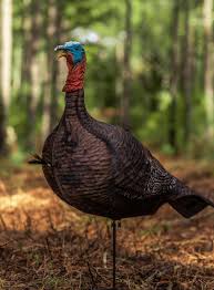 PRIMOS PHOTOFORM JAKE DECOY