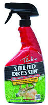 TINKS SALAD DRESSIN SPRAY SWEET VEG BLEND
