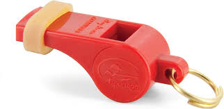 SPORTDOG ROY GONIA COMMANDER DOG WHISTLE