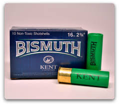 KENT BISMUTH 10 ROUNDS
