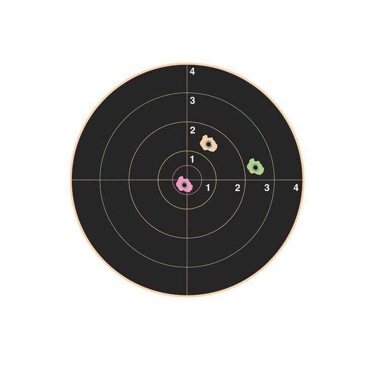 CHAMPION - VISICOLOR DARTBOARD PAPER TARGET