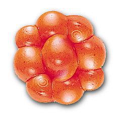 BERKLEY TROUT/STEELHEAD EGG CLUSTERS