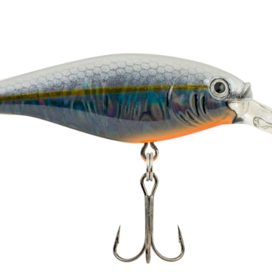 BERKLEY FLICKER SHAD (Part 2)