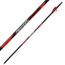BLACK EAGLE ARROWS CARNIVORE 300 .003 - 6 PACK