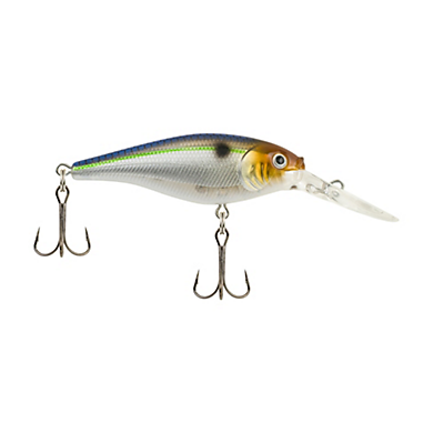 Berkley Flicker Shad Crankbait (Part 1)