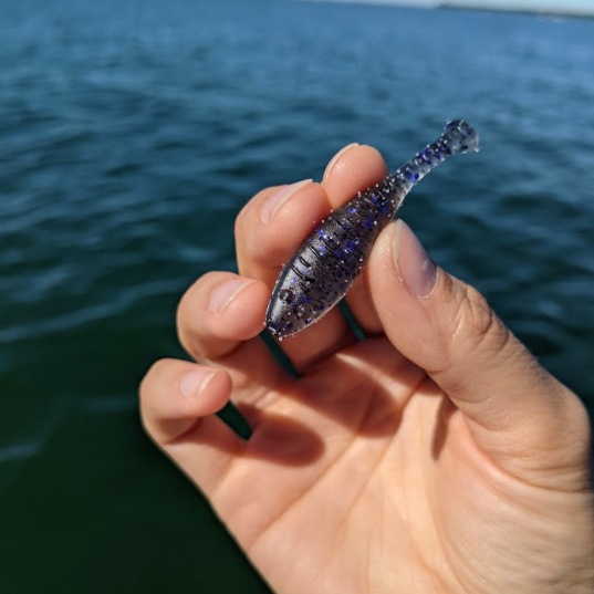 Great Lakes Finesse 2.25" Flat Cat (8pk)