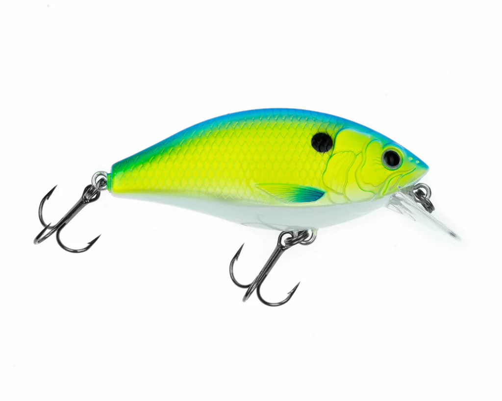 Freedom Rad Squarebill