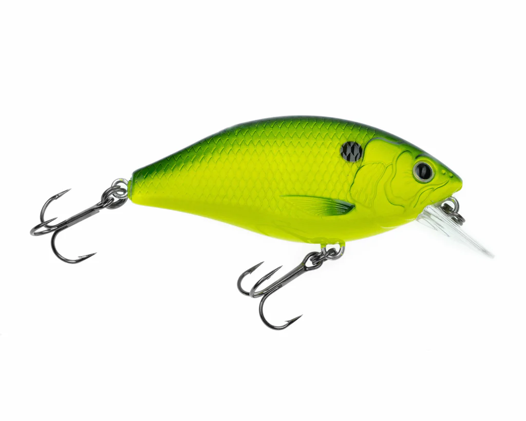 Freedom Rad Squarebill