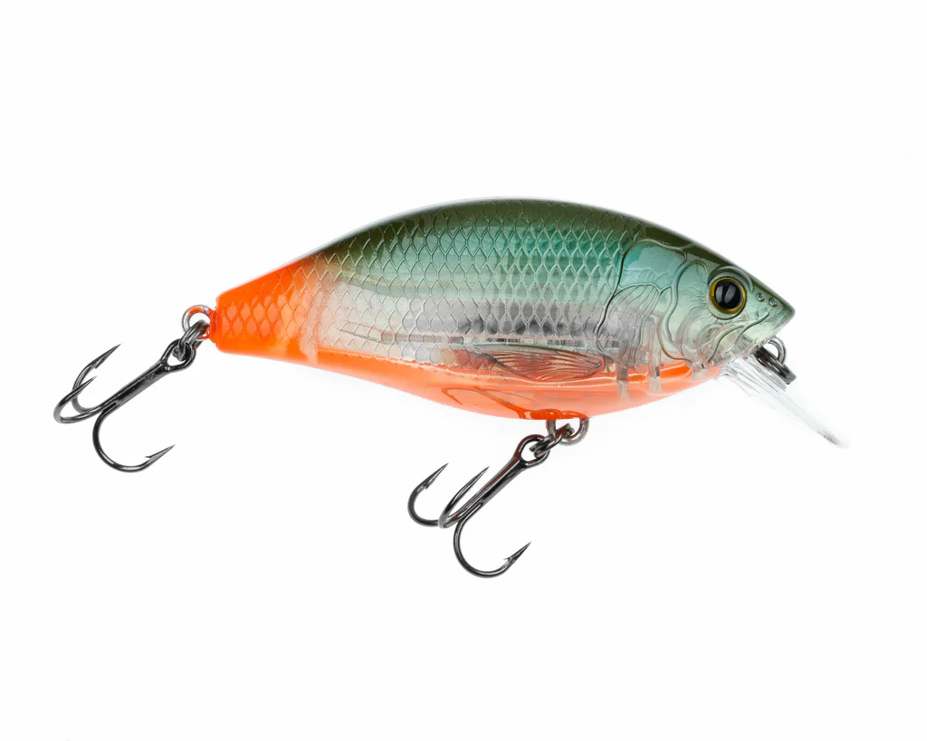 Freedom Rad Squarebill