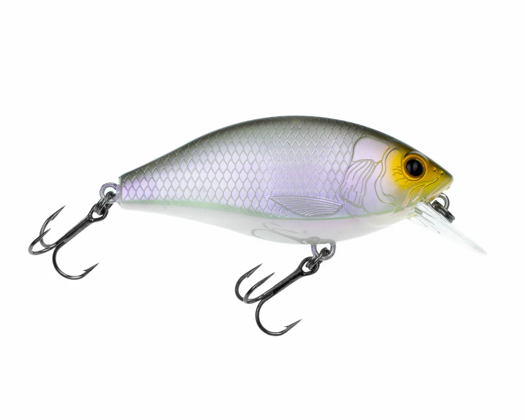 Freedom Rad Squarebill