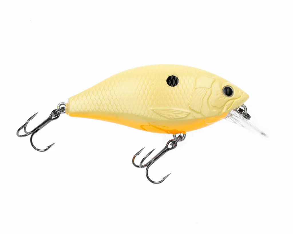 Freedom Rad Squarebill