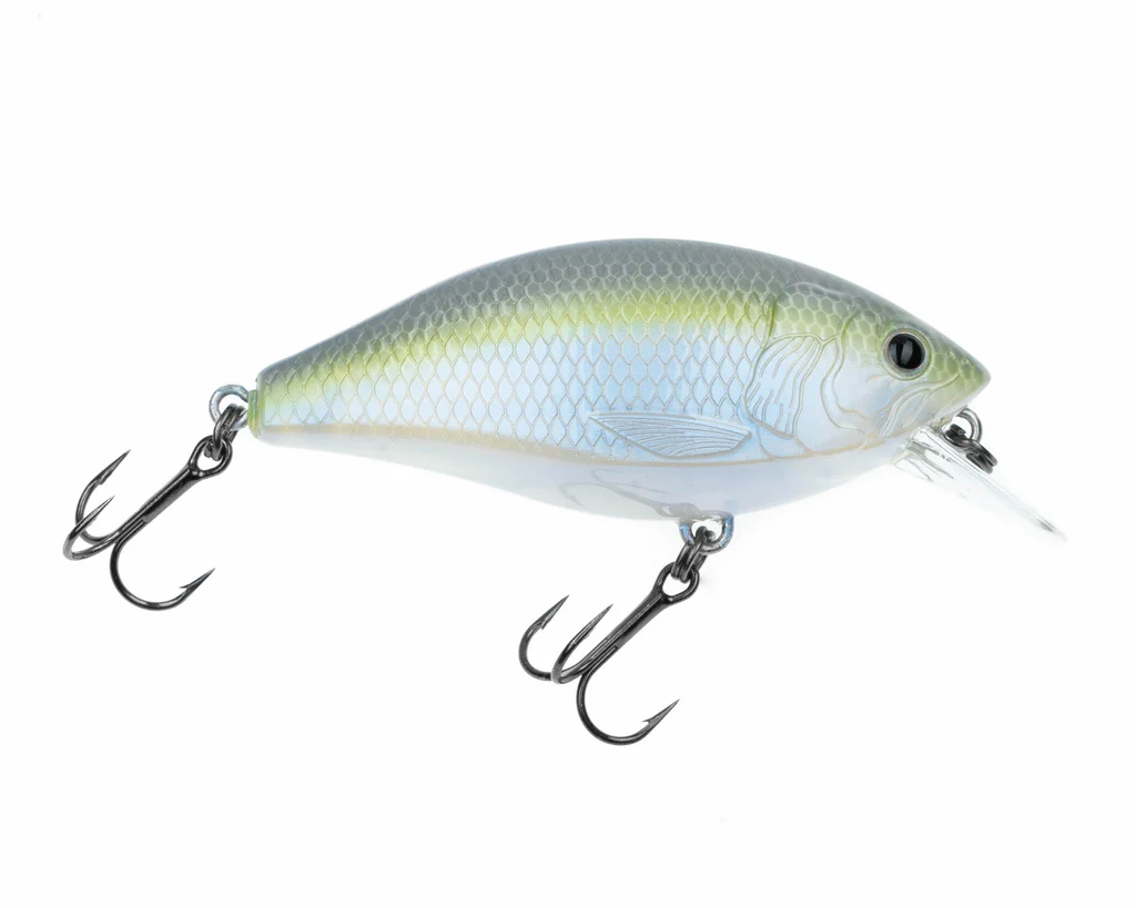 Freedom Rad Squarebill