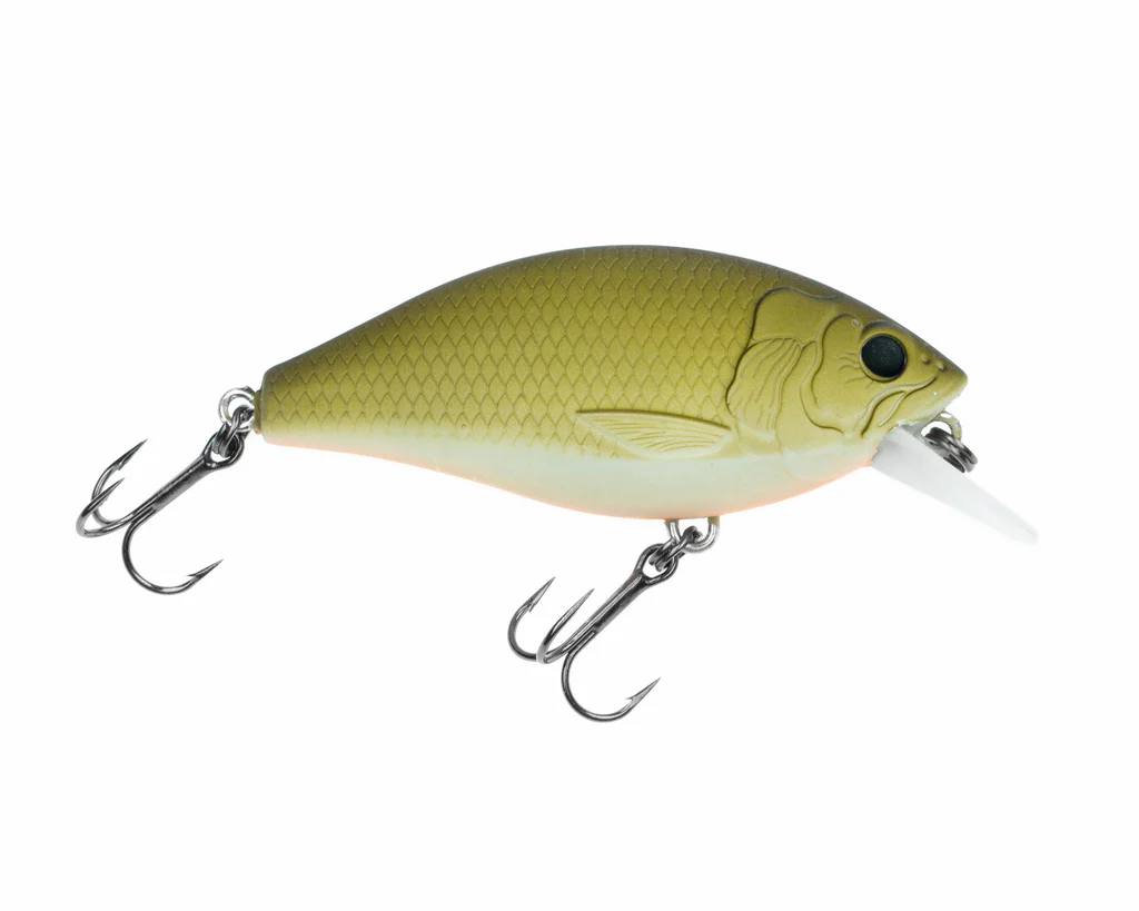 Freedom Rad Squarebill