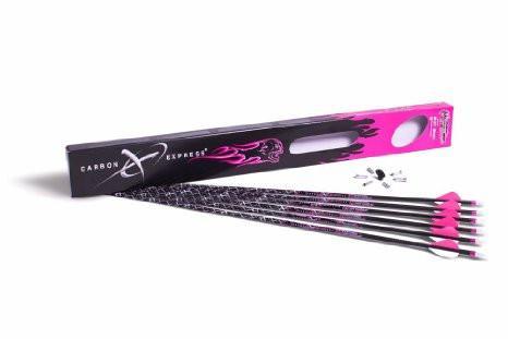 CARBON EXPRESS -MAYHEM HOT PURSUIT 250 (FUSION)(6 PK)-High Falls Outfitters