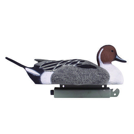 TANGLEFREE-PINTAIL DECOYS 6-High Falls Outfitters