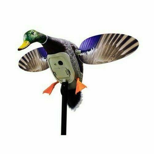 MOJO KING MALLARD