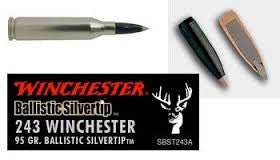 Winchester Ballistic Silver tip-High Falls Outfitters
