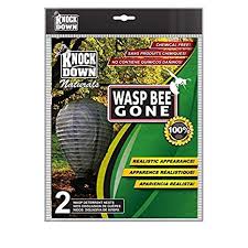 KNOCK DOWN WASP BEE GONE